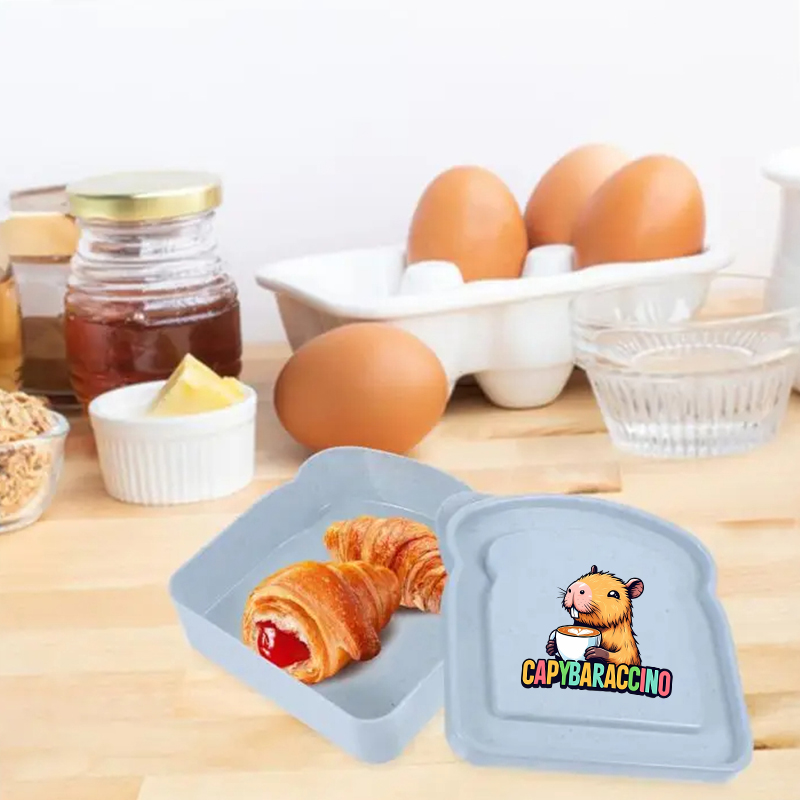 카피바라 샌드위치 음식 보관 케이스 컨테이너 샐러드 과 - Food Storage Meals 리뷰 및 가격