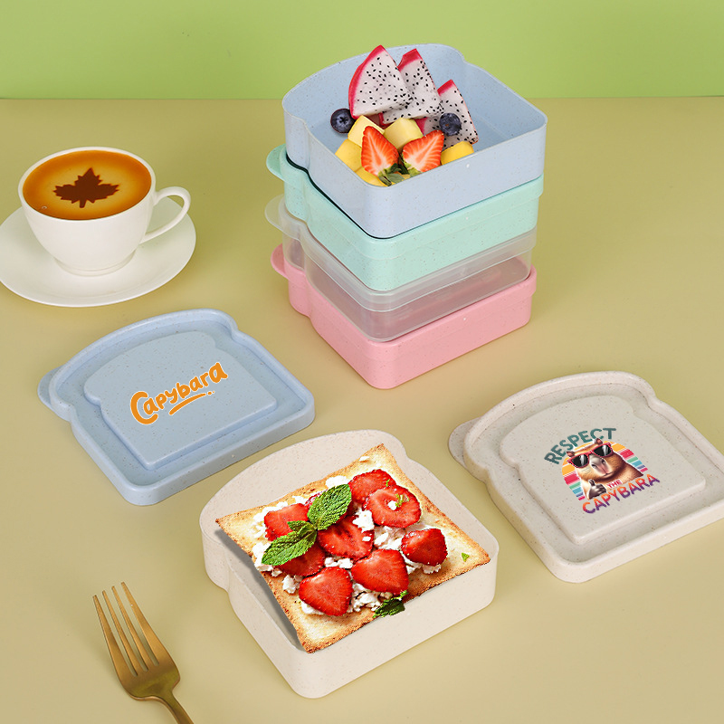 카피바라 샌드위치 음식 보관 케이스 컨테이너 샐러드 과 - Food Storage Meals 리뷰 및 가격